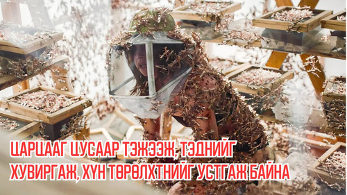 Woman Feeds Locusts With Blood Causing Them To Mutate And Wipe Out Humankind